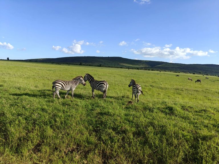 Lake Bogoria