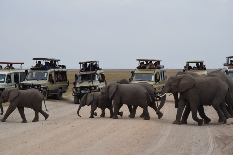 Amboseli