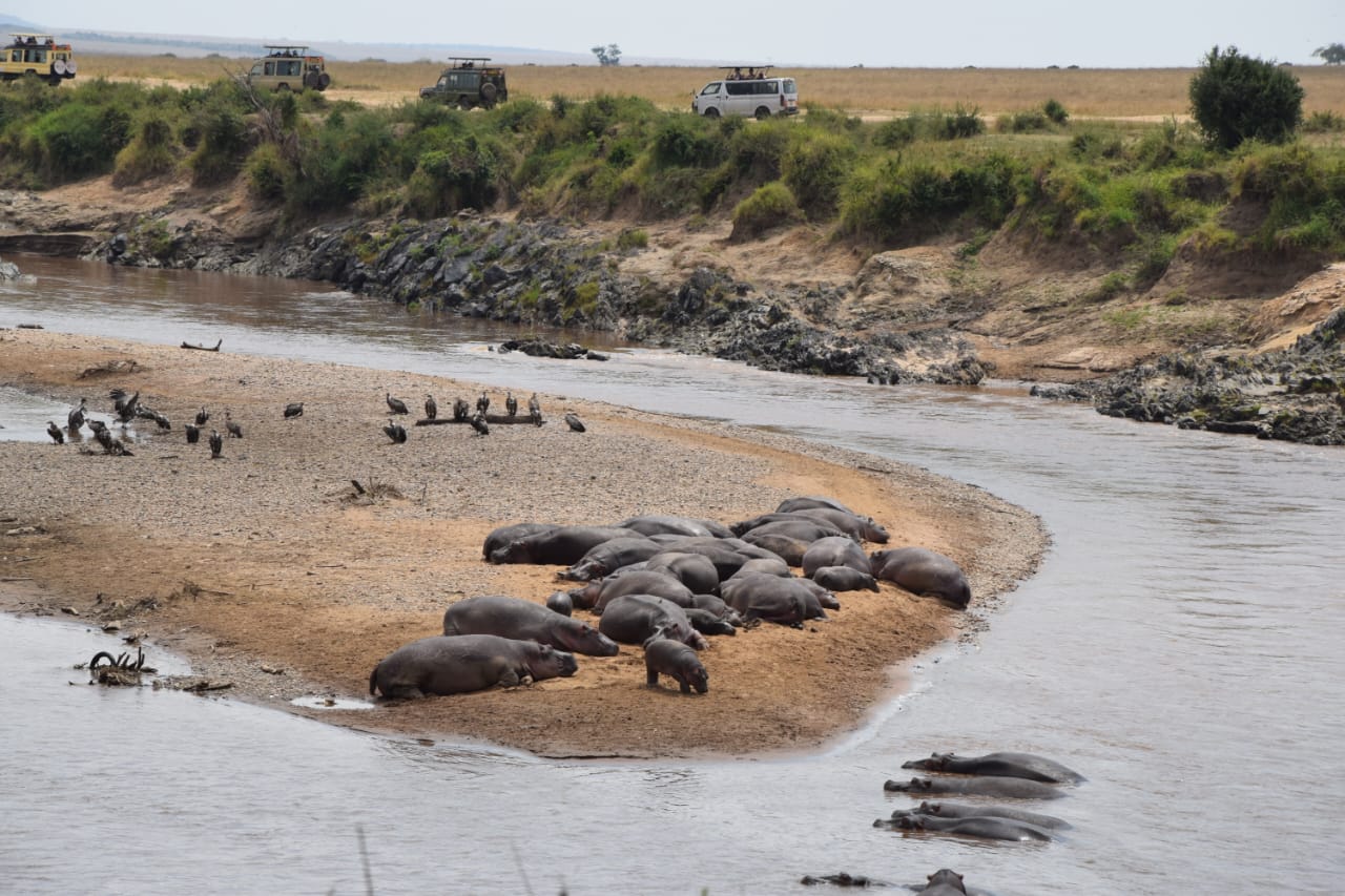 Affordable Kenya and Tanzania Tour