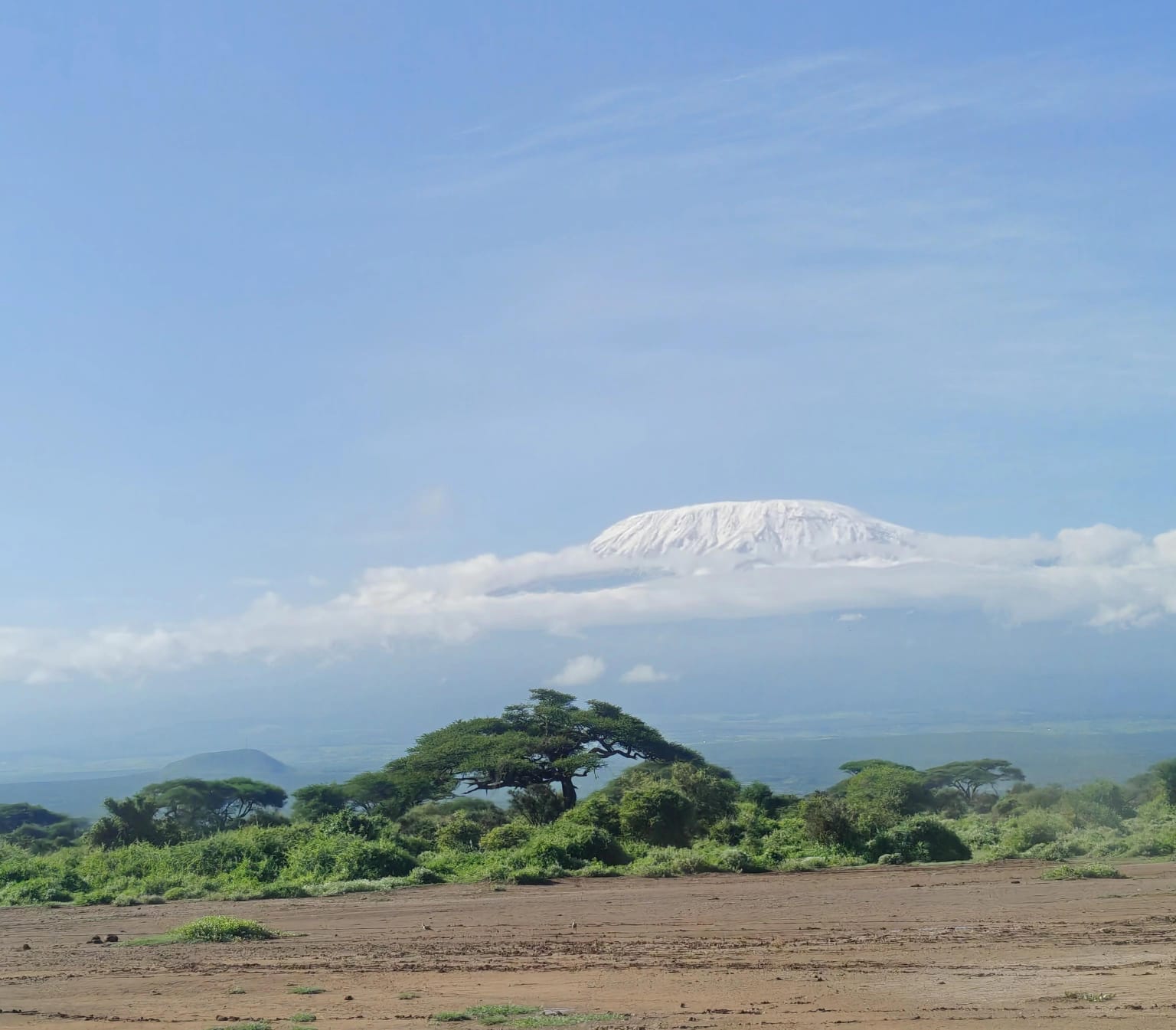 Safari in Kenya and Tanzania