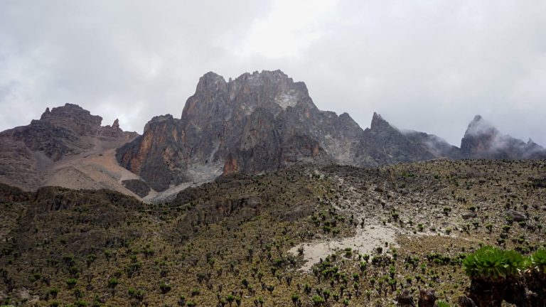 mtkenya