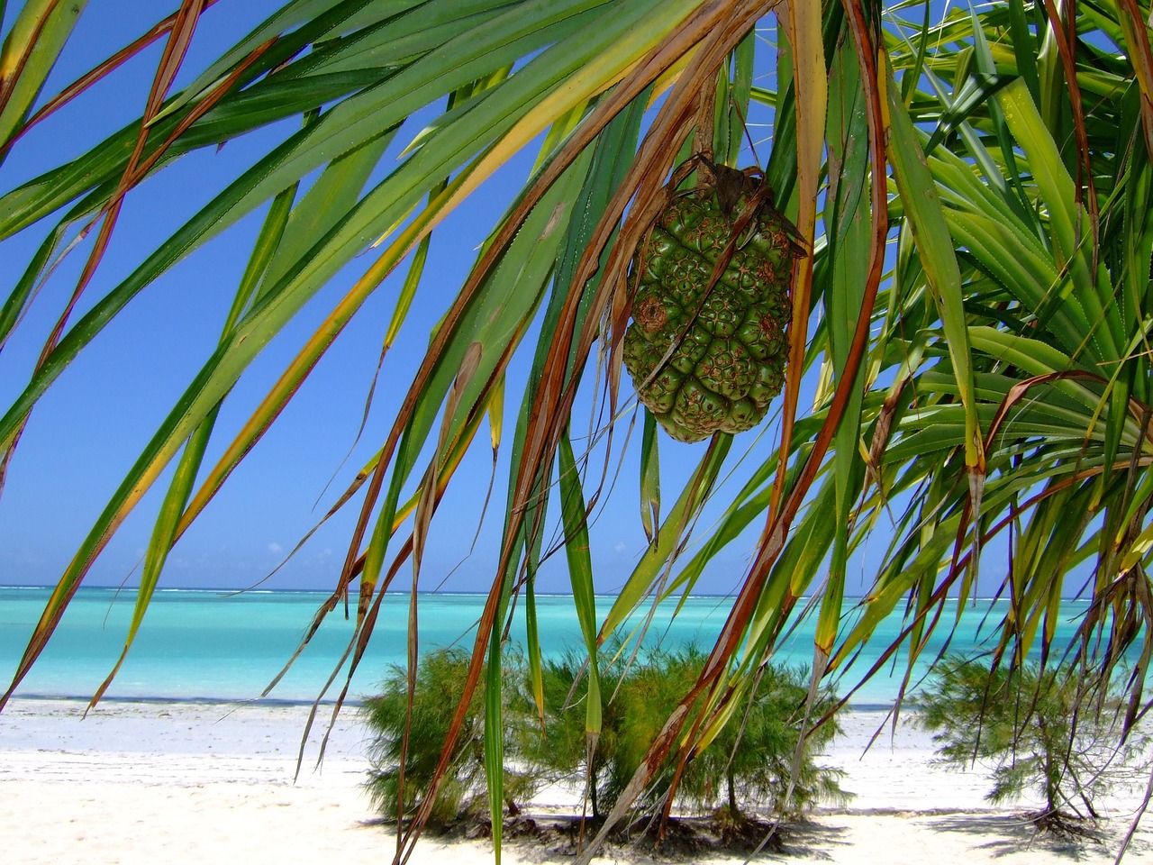 Tanzania Safari and Zanzibar Holiday Packages