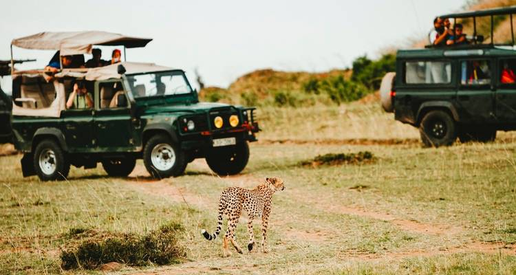 Maasai Mara Photos