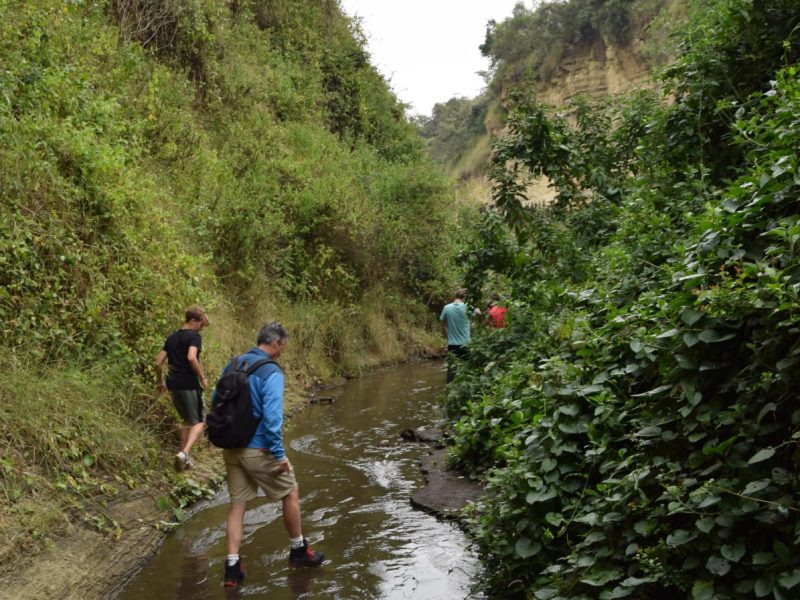 Hell’s Gate and Lake Naivasha Day Trip from Nairobi