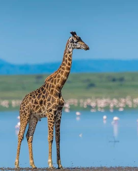 WhatsApp Image 2025-02-03 at 18.18.55