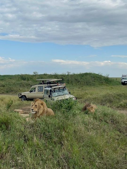 8 Days Lodge Safar Lodge Safari